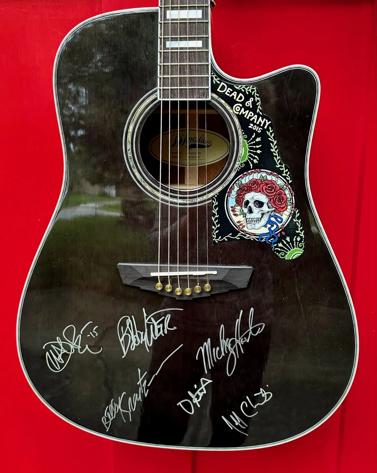 Dead and Company hand-painted signed guitar HeadCount auction